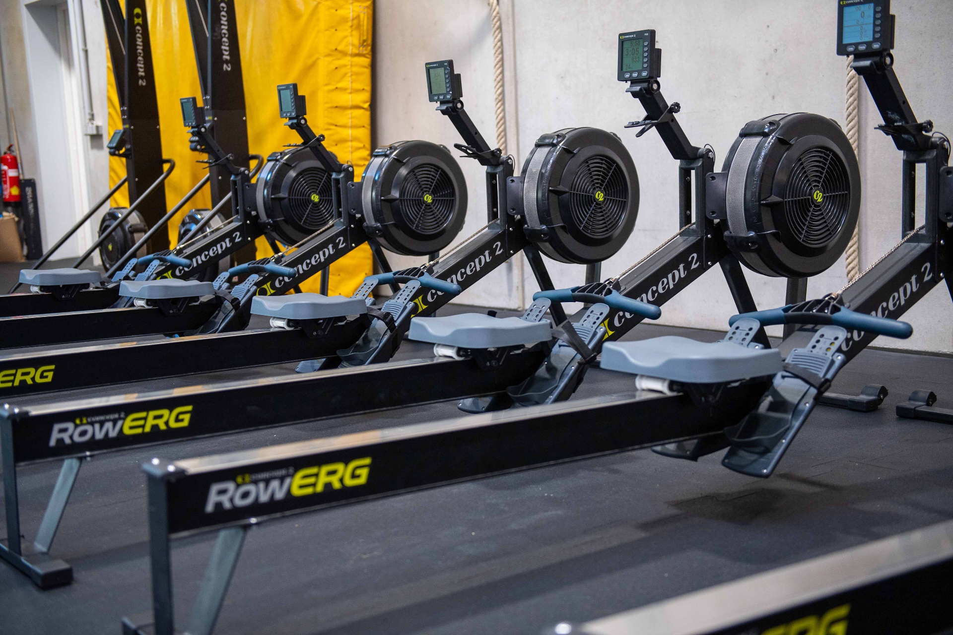 Cardio-Zone mit Rudergeräten für Ausdauer und Recovery